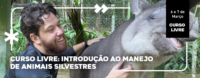 banner-site-layout 10.jpg