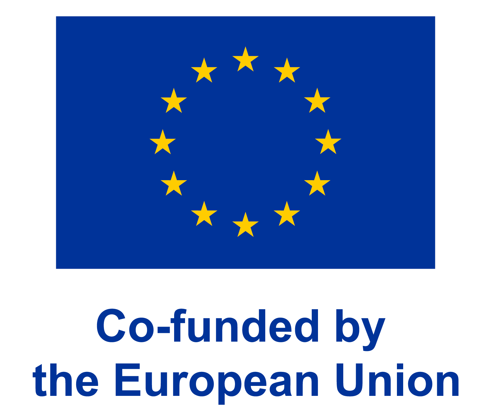 Co-funded by the European Union.png